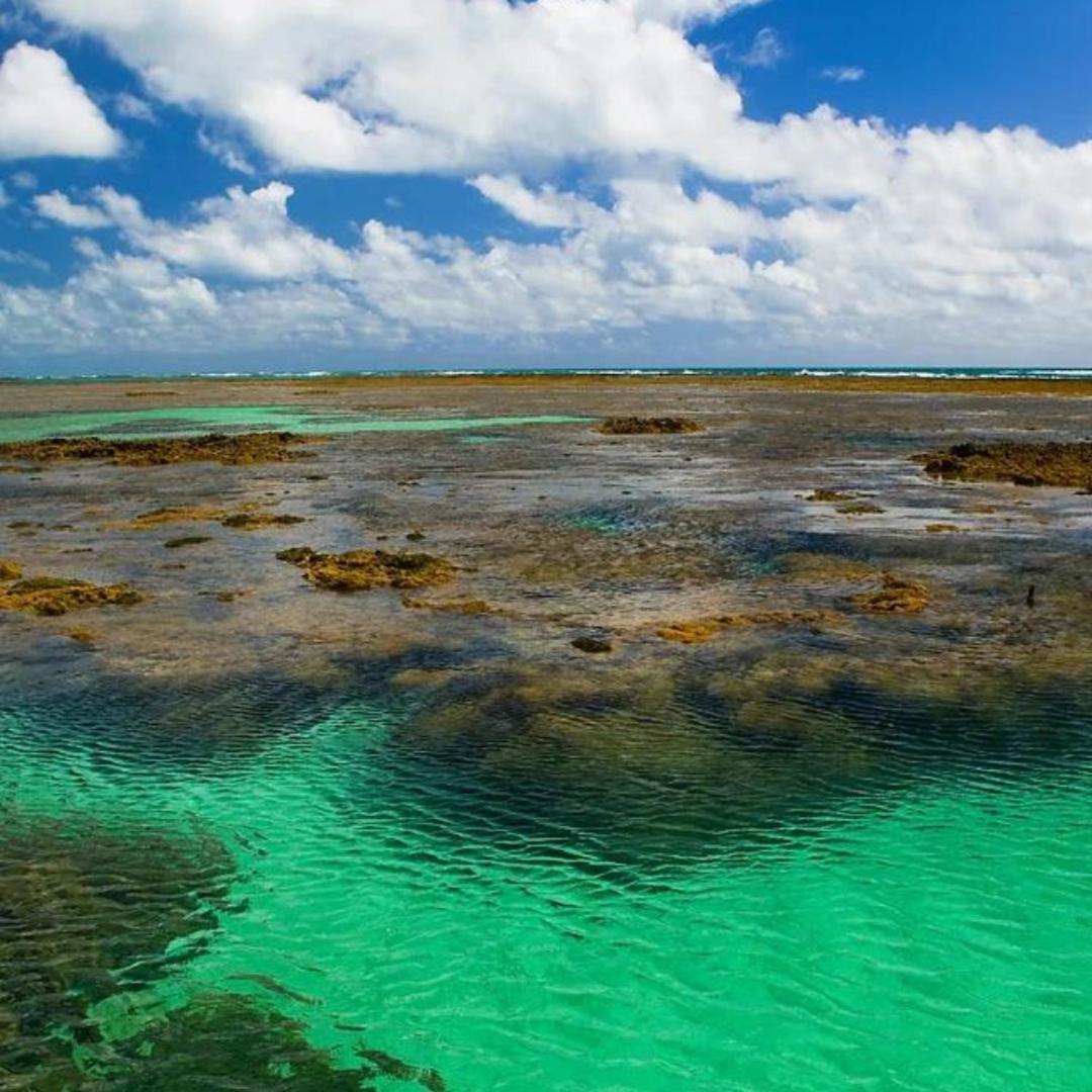 Pousada Solar Da Praia Tamandaré Exteriér fotografie